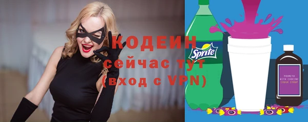 apvp Богородицк