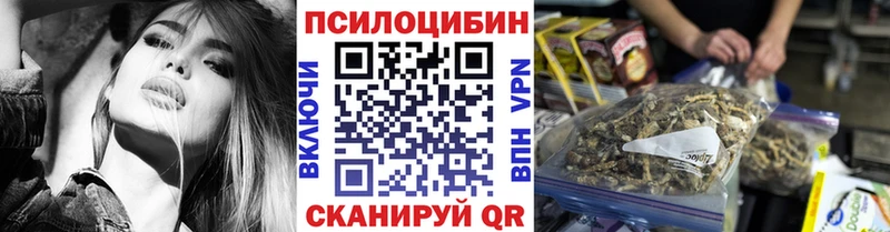 как найти   Железноводск  Псилоцибиновые грибы Psilocybe 